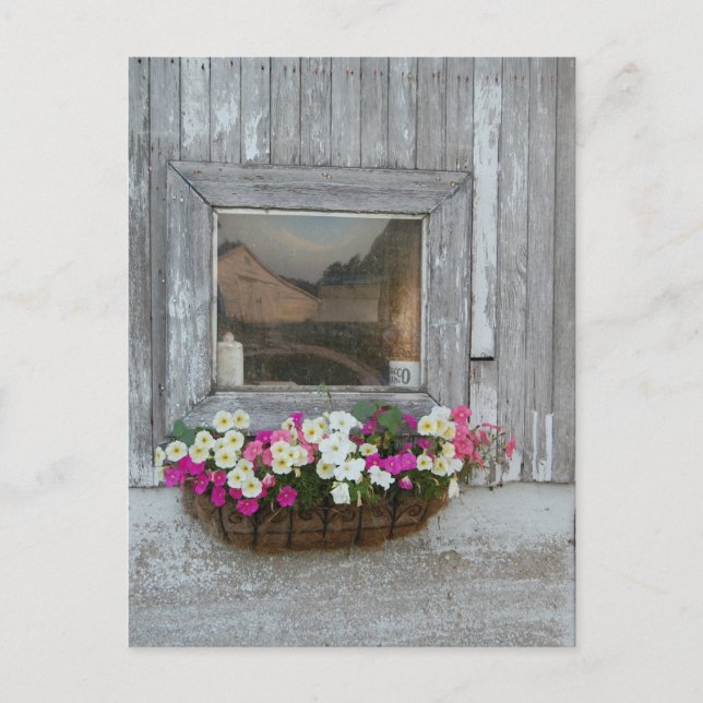 Stallreflexion Postkarte (Vorderseite)