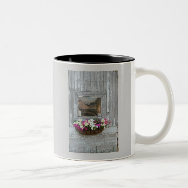 Stallreflexion Zweifarbige Tasse (Rechts)