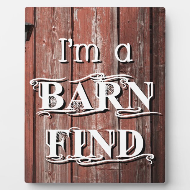 Stallsuche Fotoplatte (Vorderseite)