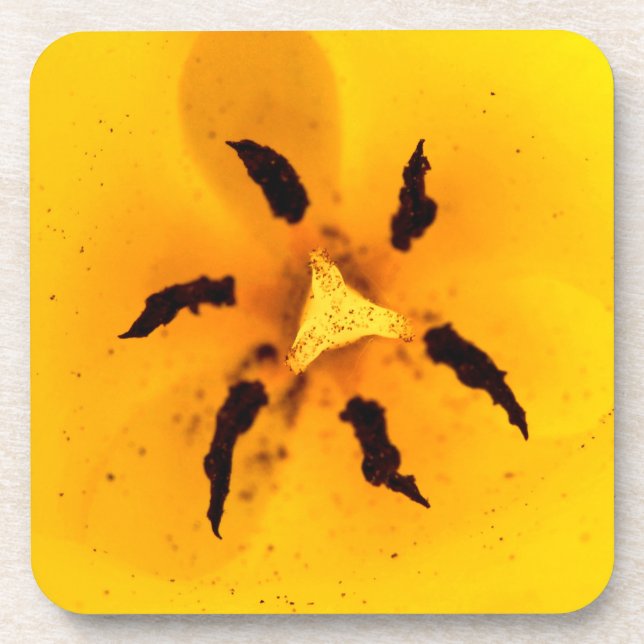 Stamen und Pollen Getränkeuntersetzer (Vorderseite)