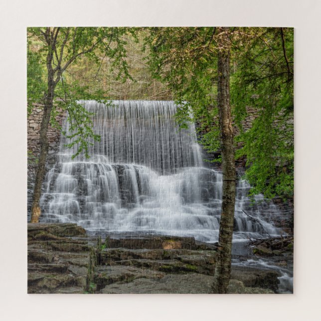 Stametz Dam 16x20 Puzzle (Vertikal)