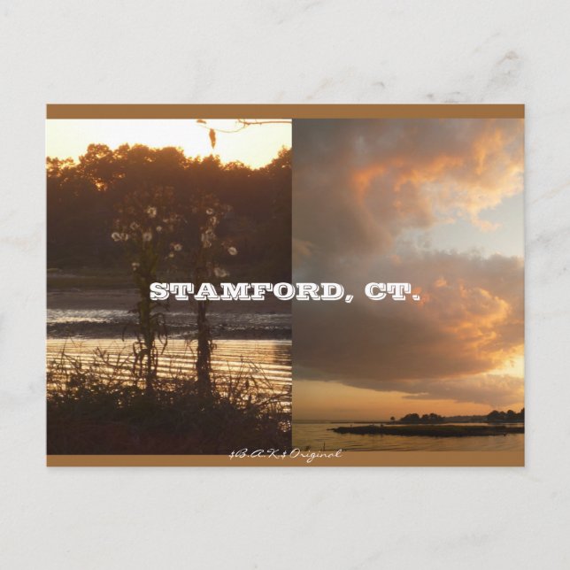 Stamford, CT Herbst 2009 Postkarte (Vorderseite)