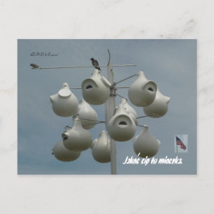 Stamford Ct Postcard Postkarte