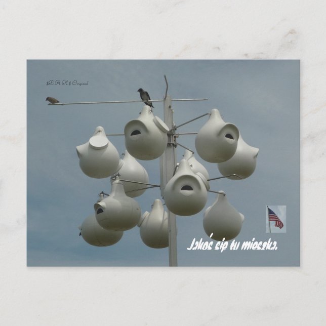 Stamford Ct Postcard Postkarte (Vorderseite)