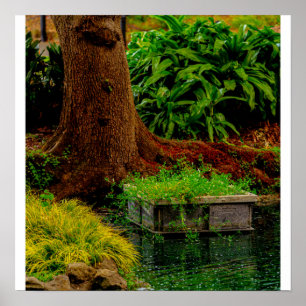 Stamm und Wasser Poster
