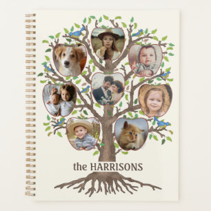 Stammbaum Foto Collage 16 Bildname Lt Beige Planer