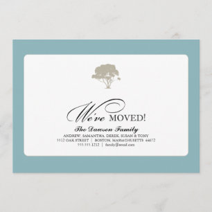 Stammbaum {wir haben uns bewegt} ankündigung