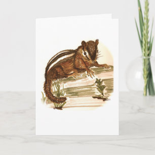 Stämmig die Chipmunk-Geburtstags-Karte Karte