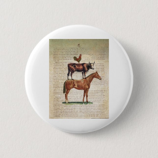 Stand C1.tif des Bauernhof-NOB12 Button (Vorderseite)