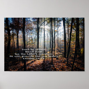 Stand Firm — Poster