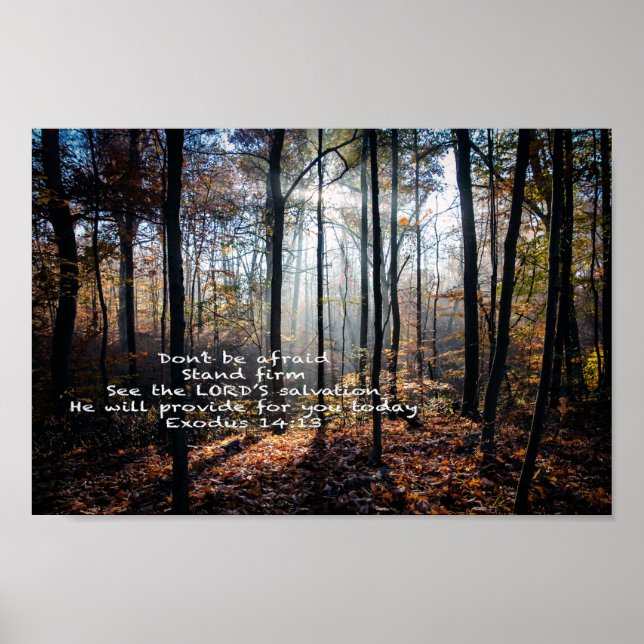 Stand Firm — Poster (Vorne)