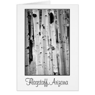 Stand hoch Aspens Flagstaff