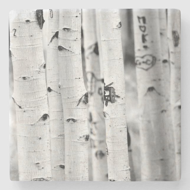 Stand hoch Aspen's Steinuntersetzer (Vorderseite)