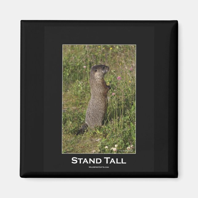 Stand Tall Marmot Magnet (Vorne)