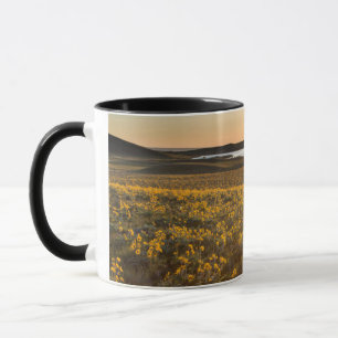 Stand von Arrowleaf Balsamroot Wildblumen Tasse
