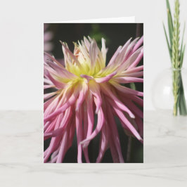 Standard, 12,7 cm x 17,8 cm Faltenkarte Karte