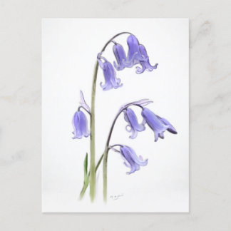 Standard, 12,7 cm x 17,8 cm Faltkarte Postkarte
