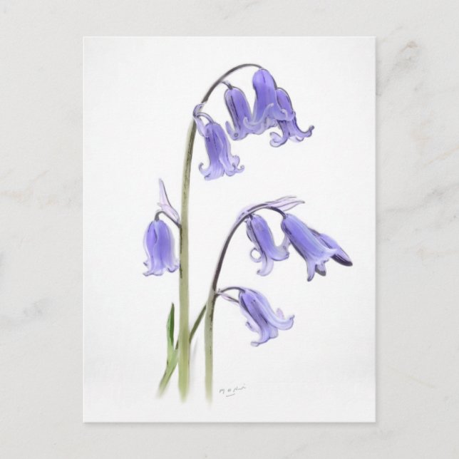 Standard, 12,7 cm x 17,8 cm Faltkarte Postkarte (Vorderseite)