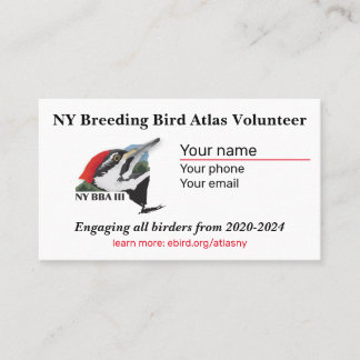 Standard, 3,5 Zoll x 2,0" Visitenkarte