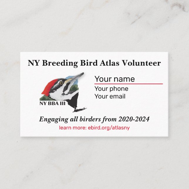 Standard, 3,5 Zoll x 2,0" Visitenkarte (Vorderseite)