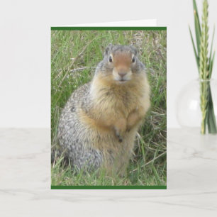 Standard, 5" x 7" geklappte Grußkarte Karte