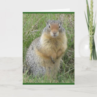 Standard, 5" x 7" geklappte Grußkarte Karte