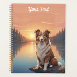 Standard Collie am See Planer