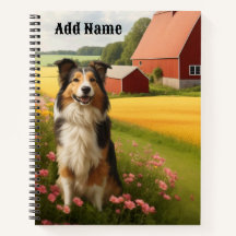 Standard Collie auf dem Bauernhof