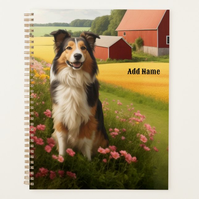 Standard Collie auf dem Bauernhof Planer (Vorderseite)