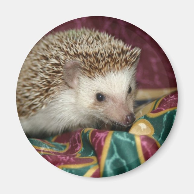 Standard-hh-Magnet Magnet (Vorne)