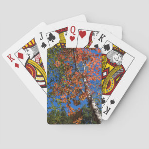 Standard-Index Rote Herbstlaube für die Kartenausf Spielkarten