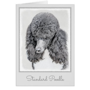 Standard Poodle Black Parti Painting - Dog Art