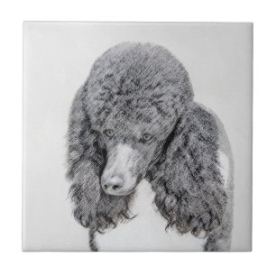 Standard Poodle Black Parti Painting - Dog Art Fliese