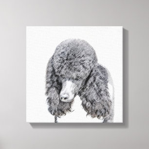 Standard Poodle Black Parti Painting - Dog Art Leinwanddruck