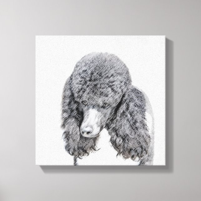 Standard Poodle Black Parti Painting - Dog Art Leinwanddruck (Vorderseite)