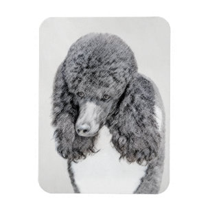 Standard Poodle Black Parti Painting - Dog Art Magnet
