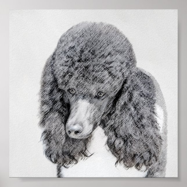 Standard Poodle Black Parti Painting - Dog Art Poster (Vorne)