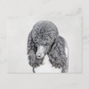 Standard Poodle Black Parti Painting - Dog Art Postkarte