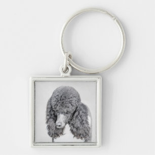 Standard Poodle Black Parti Painting - Dog Art Schlüsselanhänger
