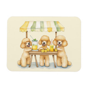 Standard Poodle Hunde, die auf einem Limonade-Stan Magnet