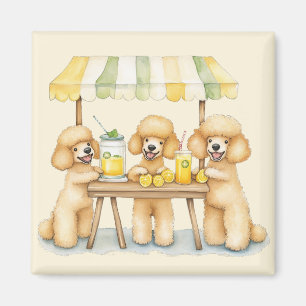 Standard Poodle Hunde, die auf einem Limonade-Stan Magnet