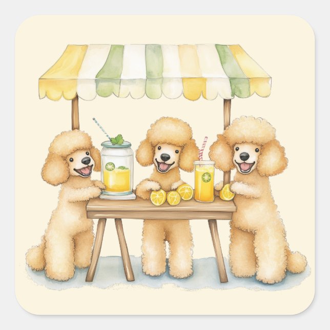 Standard Poodle Hunde, die auf einem Limonade-Stan Quadratischer Aufkleber (Vorderseite)