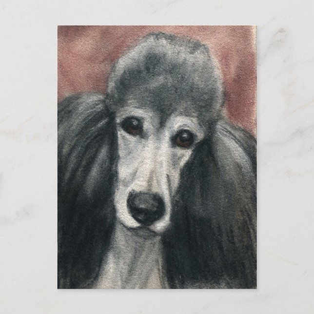 Standard Poodle Original Hunde Kunst Postkarte (Vorderseite)