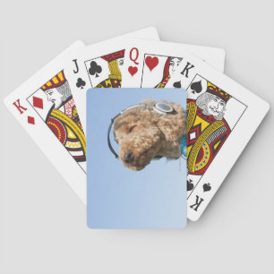 Standard Poodle Spielkarten