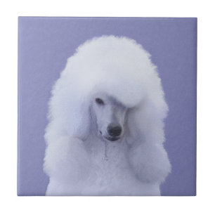 Standard Poodle White Painting - Original Dog Art Fliese