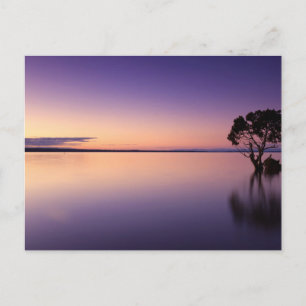 Standard Postcard Postkarte