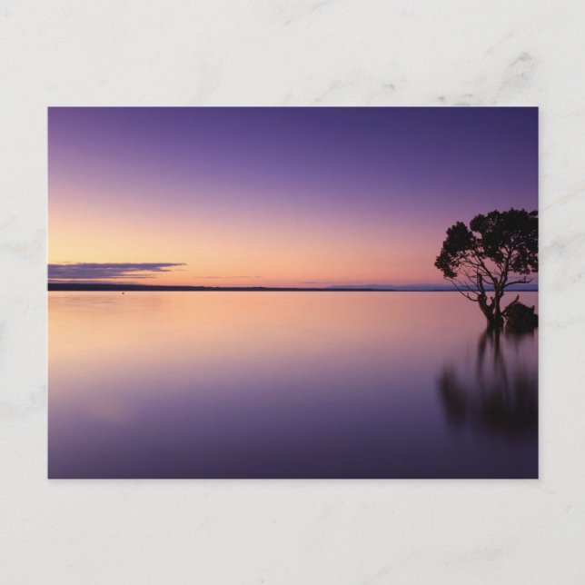 Standard Postcard Postkarte (Vorderseite)