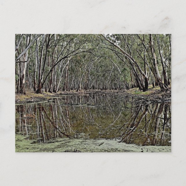 Standard postcard postkarte (Vorderseite)