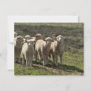 Standard Postkarte
