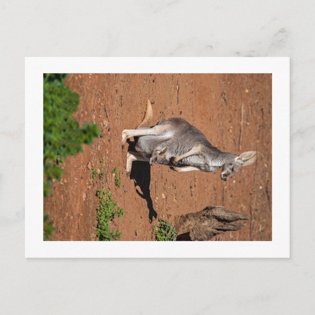 Standard Postkarte (Vorderseite)